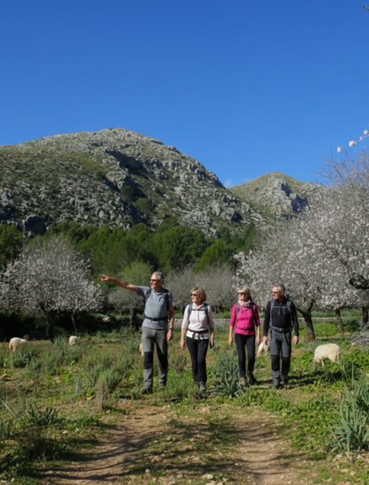 Amigos paseando por el monte