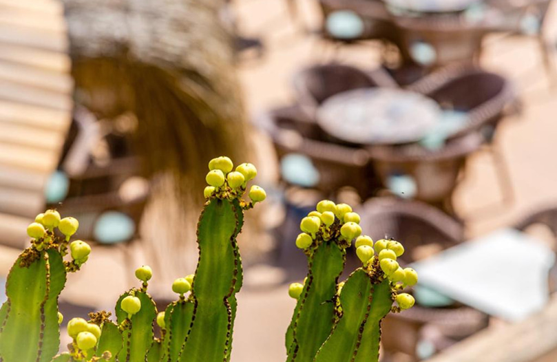 Vista difuminada de las silas y las mesas de la gran terraza del Cocktail Bar